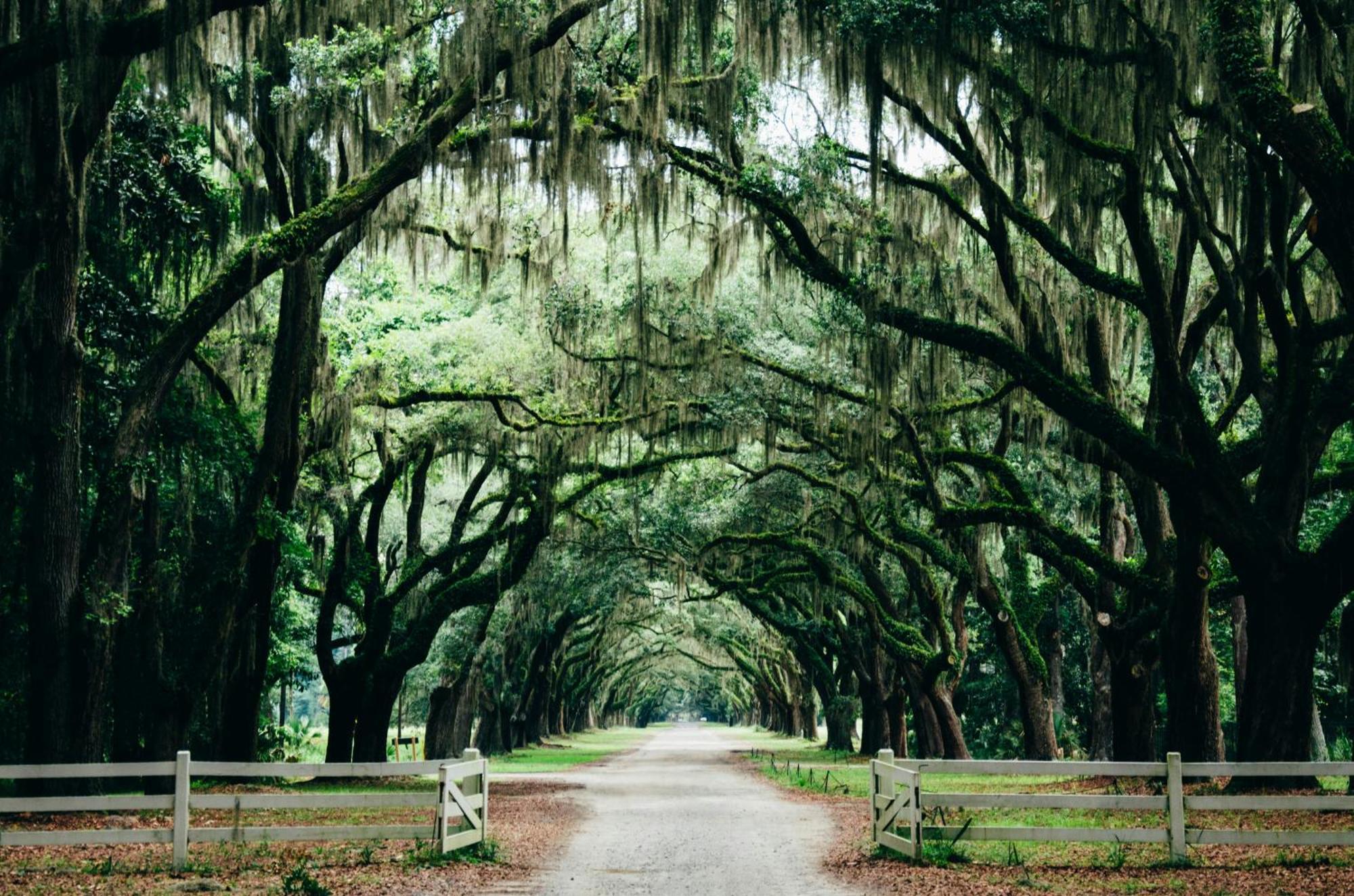 Kimpton Brice Hotel By Ihg Savannah Kültér fotó